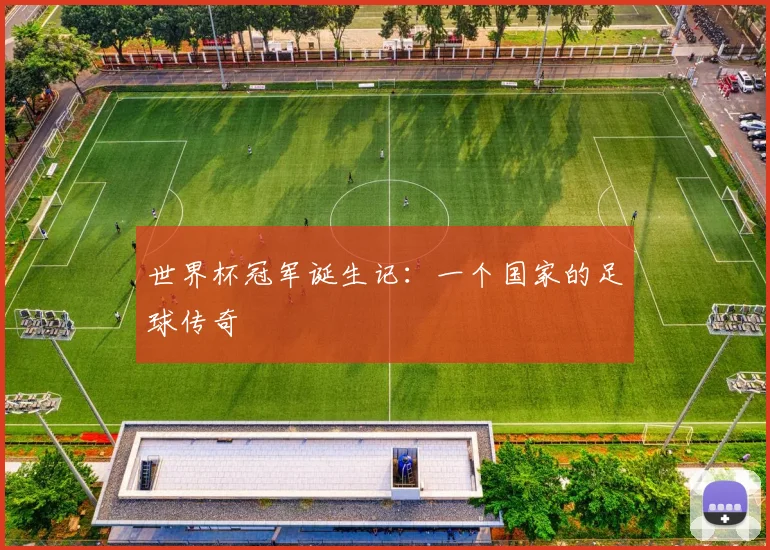 世界杯冠军诞生记：一个国家的足球传奇