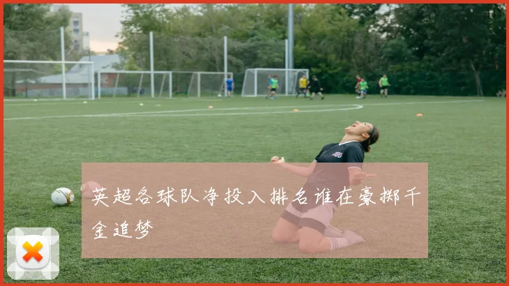 英超各球队净投入排名谁在豪掷千金追梦