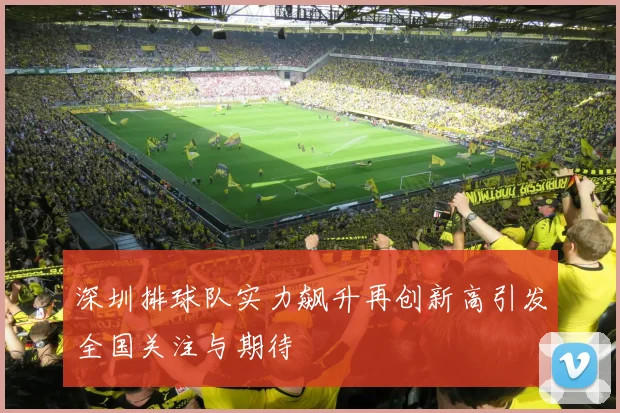 深圳排球队实力飙升再创新高引发全国关注与期待
