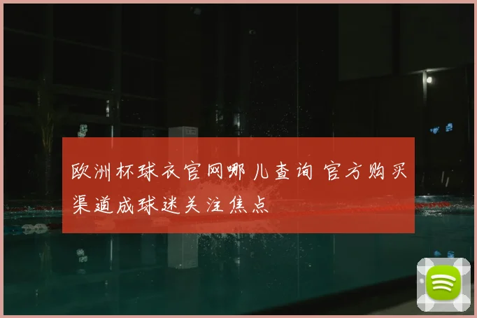 欧洲杯球衣官网哪儿查询 官方购买渠道成球迷关注焦点