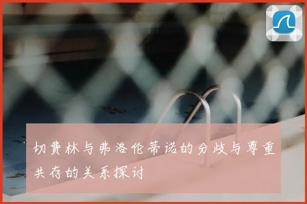 切费林与弗洛伦蒂诺的分歧与尊重共存的关系探讨