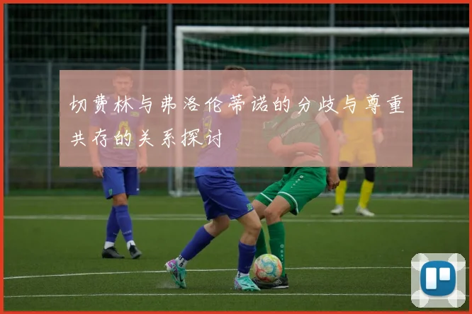切费林与弗洛伦蒂诺的分歧与尊重共存的关系探讨