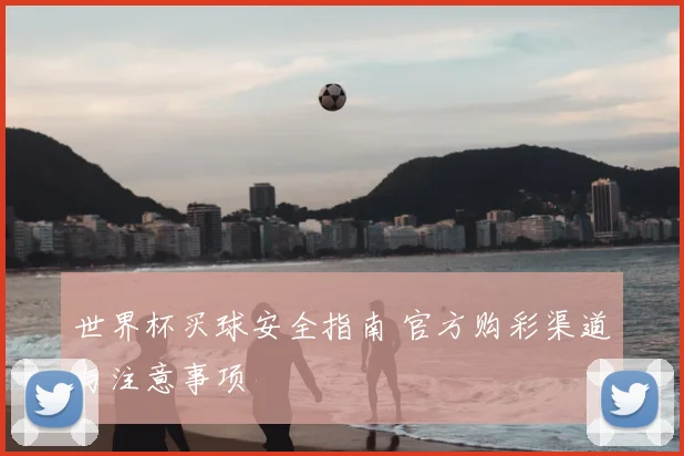 世界杯买球安全指南 官方购彩渠道与注意事项