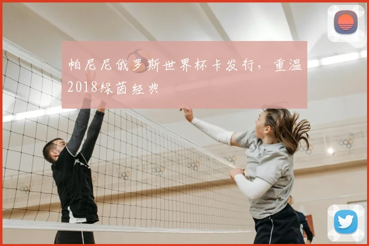 帕尼尼俄罗斯世界杯卡发行，重温2018绿茵经典