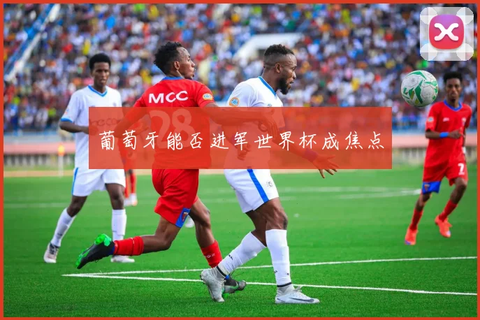 葡萄牙能否进军世界杯成焦点