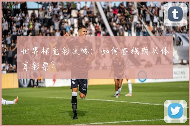 世界杯竞彩攻略:如何在线购买体育彩票?