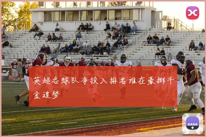英超各球队净投入排名谁在豪掷千金追梦